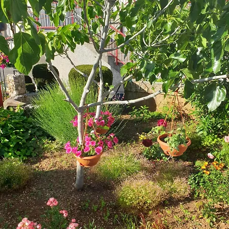 Hodanic ゲストハウス