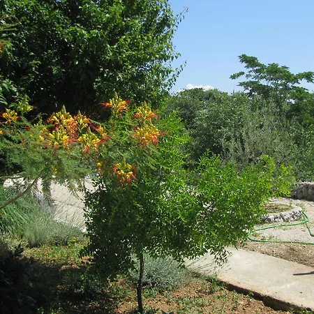 Penzion Hodanic 3*